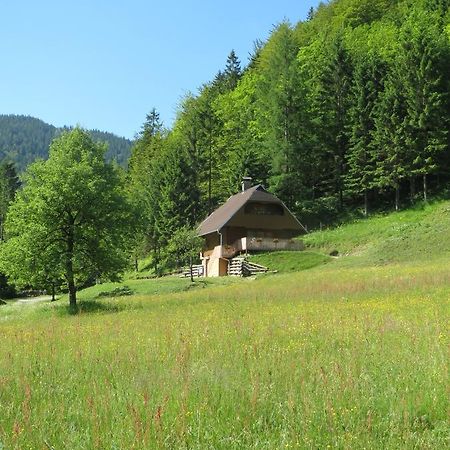 Apartmaji Brloznica Pod Veliko Planino Luče Szoba fotó