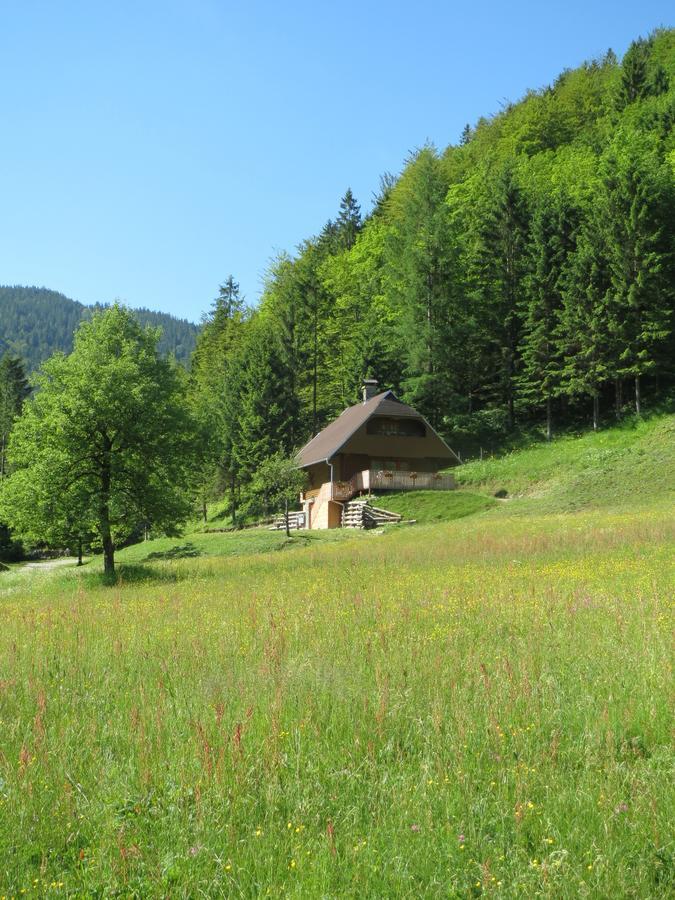 Apartmaji Brloznica Pod Veliko Planino Luče Szoba fotó
